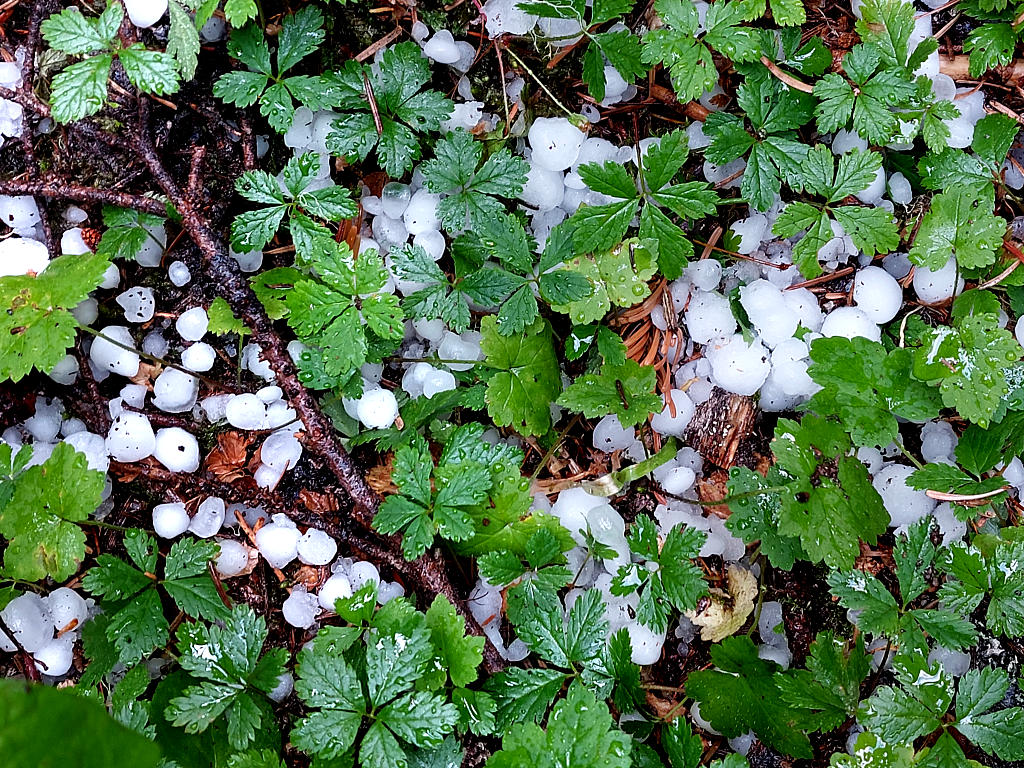 Pacific Crest Trail: 5. Von Snoqualmie Pass nach White Pass