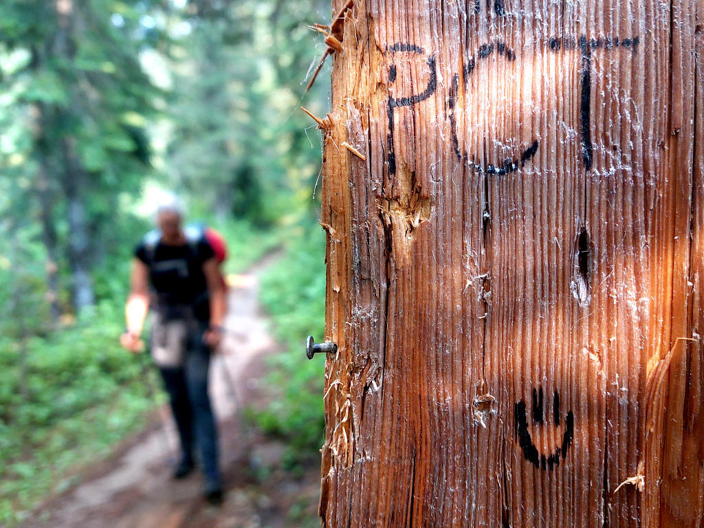 Pacific Crest Trail: 5. Von Snoqualmie Pass nach White Pass