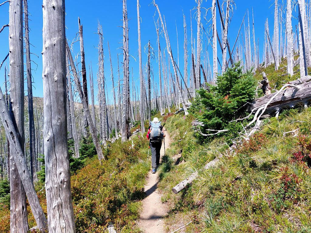 Pacific Crest Trail: 5. Von Snoqualmie Pass nach White Pass