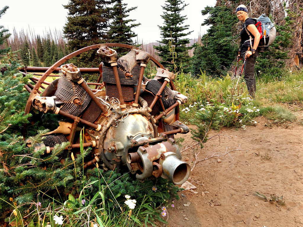 Pacific Crest Trail: 5. Von Snoqualmie Pass nach White Pass