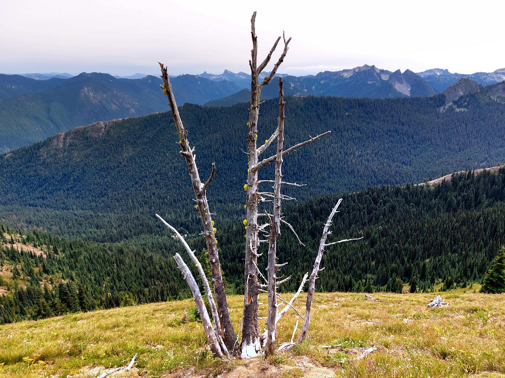 Pacific Crest Trail: 5. Von Snoqualmie Pass nach White Pass