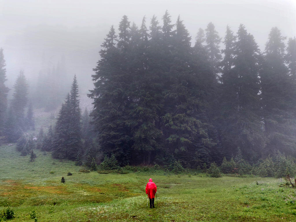 Pacific Crest Trail: 5. Von Snoqualmie Pass nach White Pass