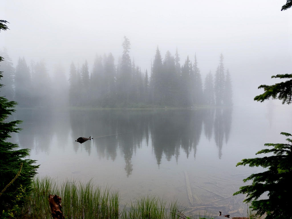 Pacific Crest Trail: 5. Von Snoqualmie Pass nach White Pass