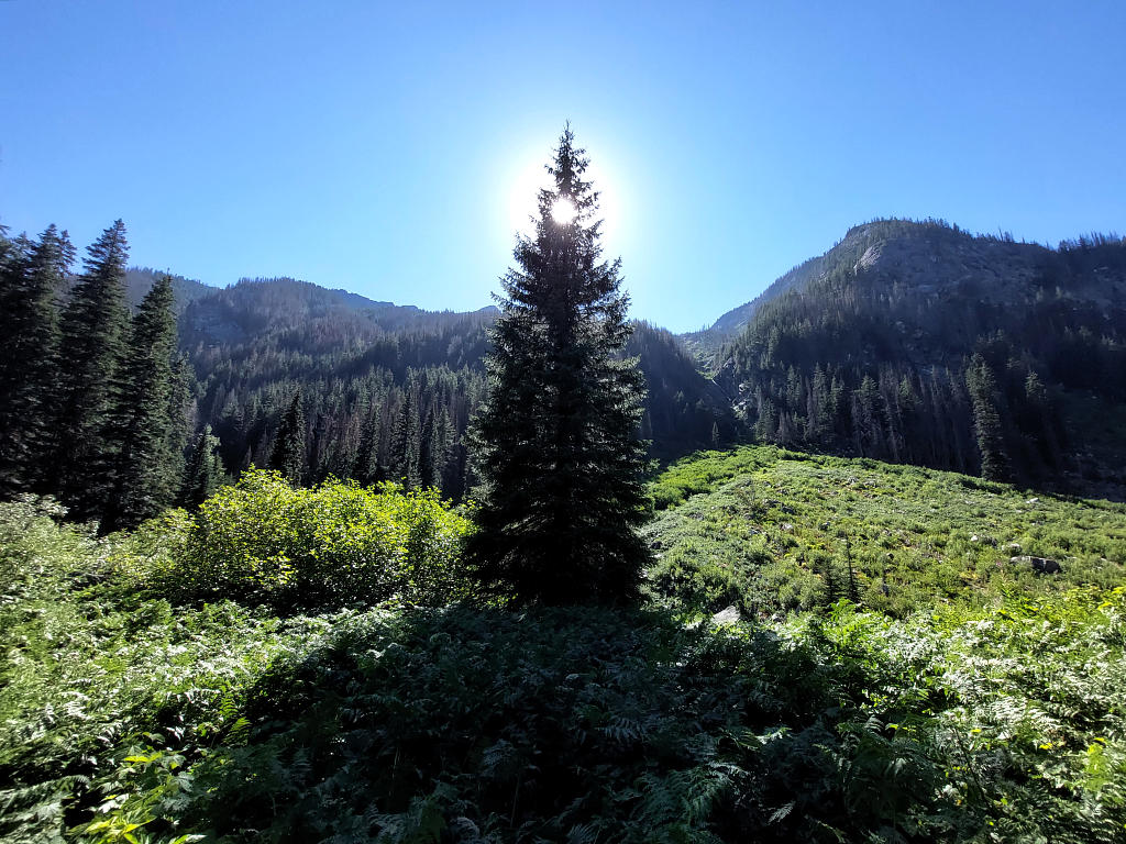 Pacific Crest Trail: 3. Von Stehekin nach Stehekin