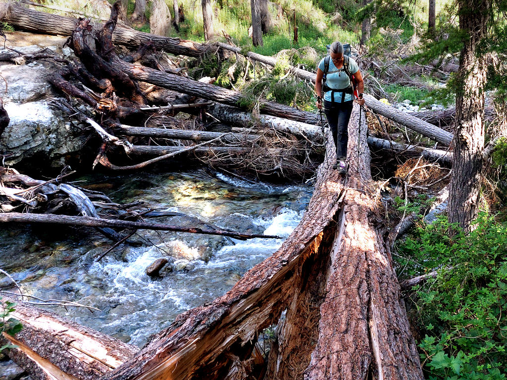 Pacific Crest Trail: 3. Von Stehekin nach Stehekin