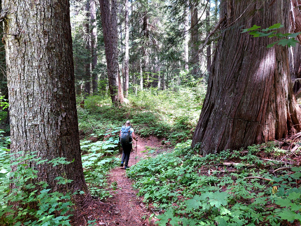 Pacific Crest Trail: 3. Von Stehekin nach Stehekin