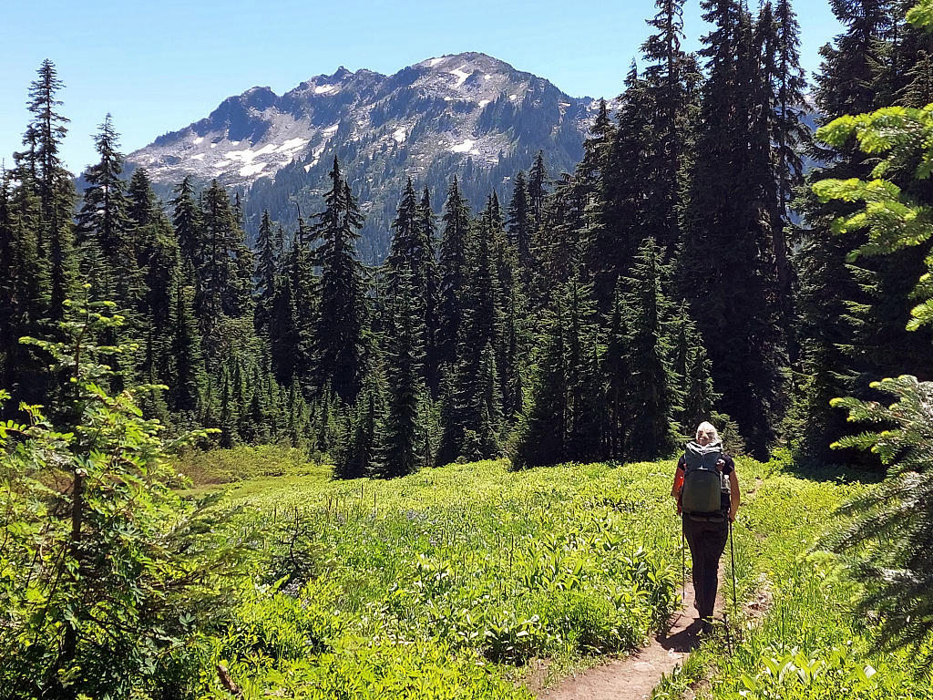 Pacific Crest Trail: 4. Von Stevens Pass nach Snoqualmie Pass