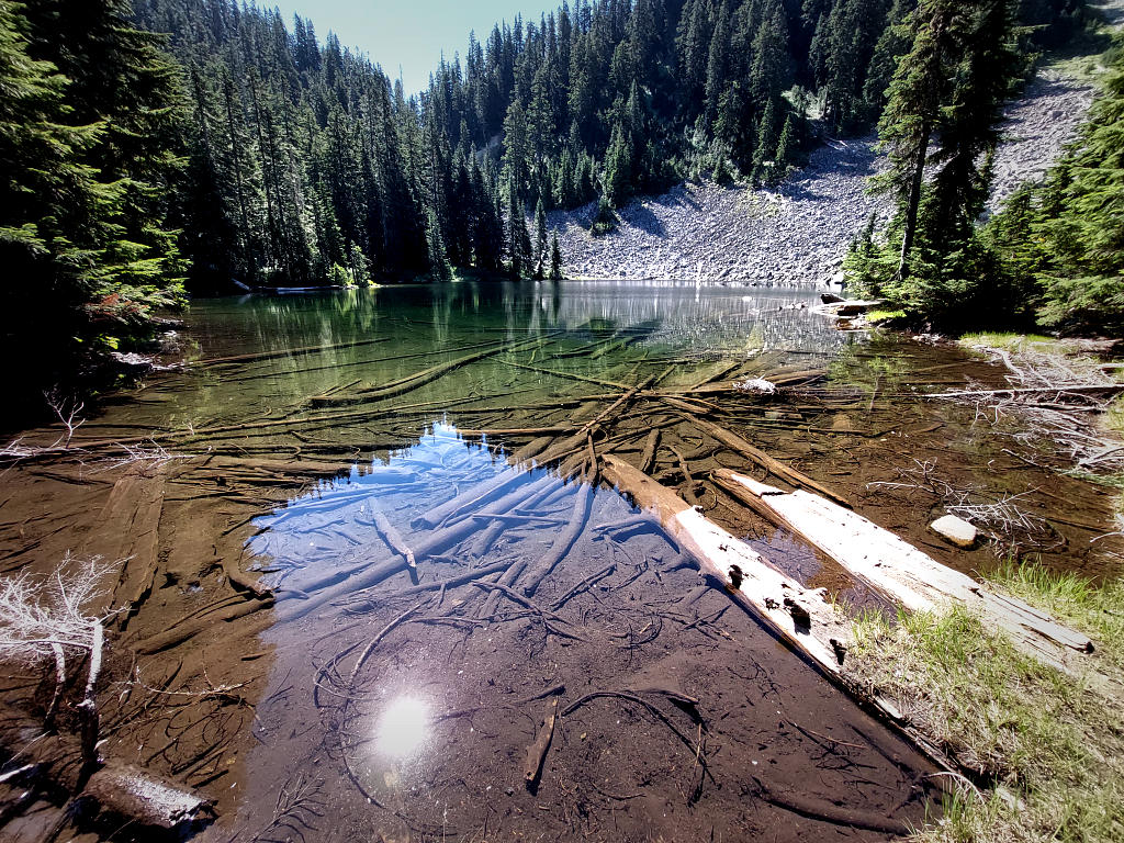 Pacific Crest Trail: 4. Von Stevens Pass nach Snoqualmie Pass