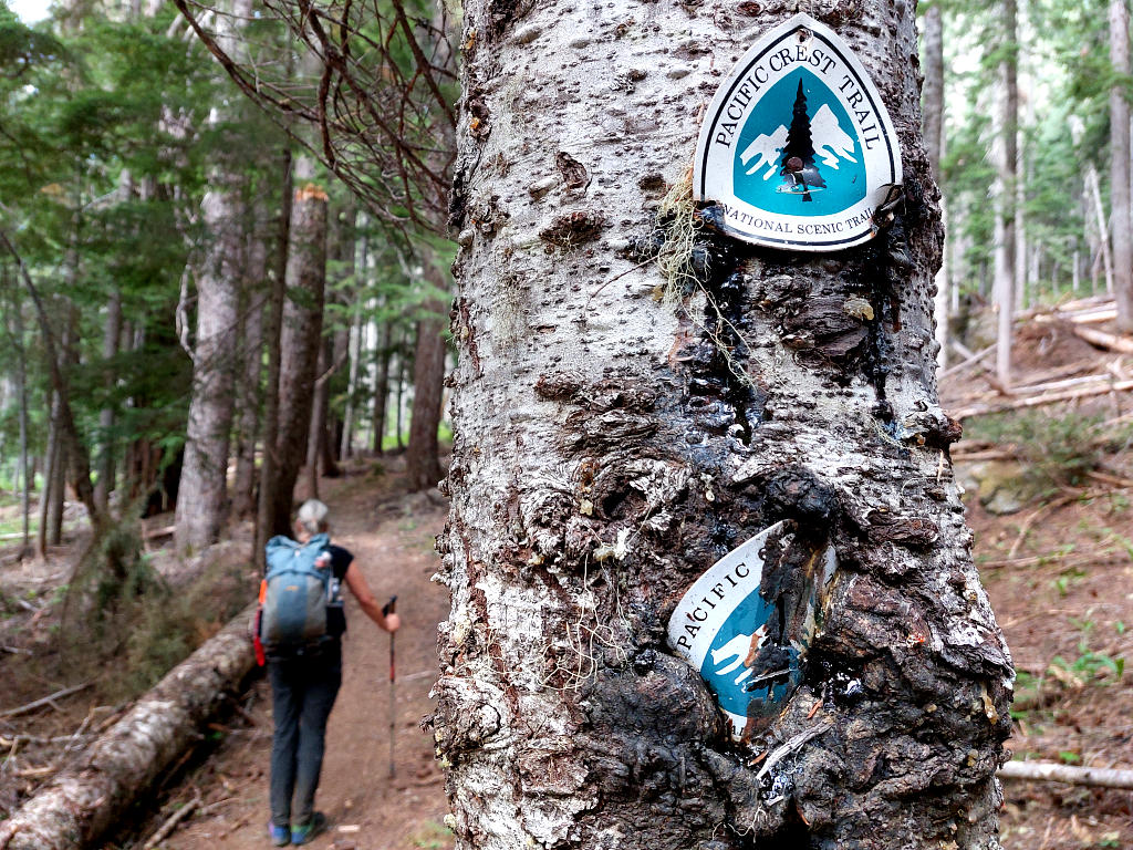 Pacific Crest Trail: 4. Von Stevens Pass nach Snoqualmie Pass