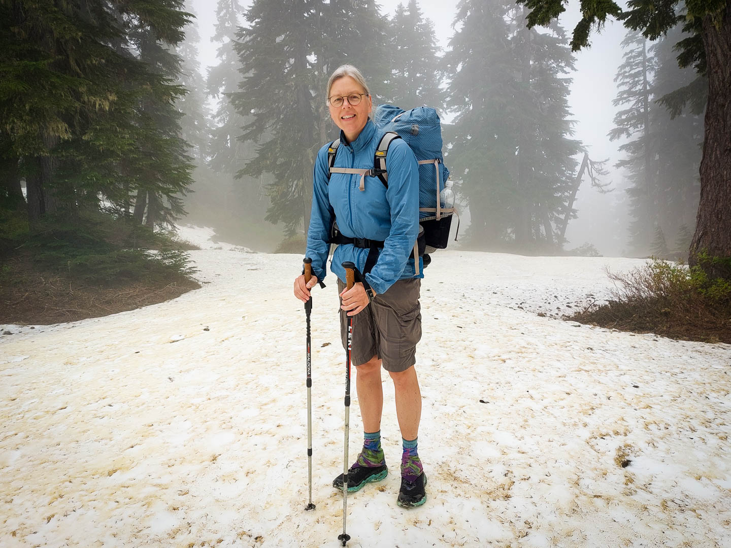 Pacific Crest Trail: 17. Von Stevens Pass nach Stevens Pass