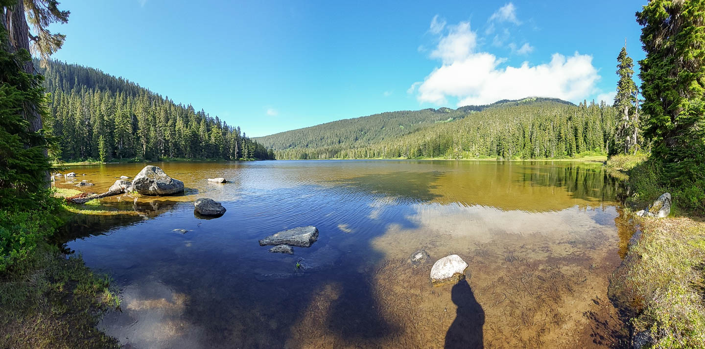 Pacific Crest Trail: 17. Von Stevens Pass nach Stevens Pass