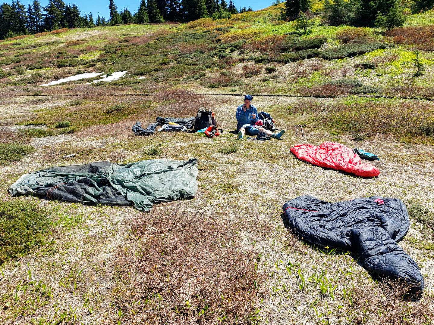 Pacific Crest Trail: 17. Von Stevens Pass nach Stevens Pass