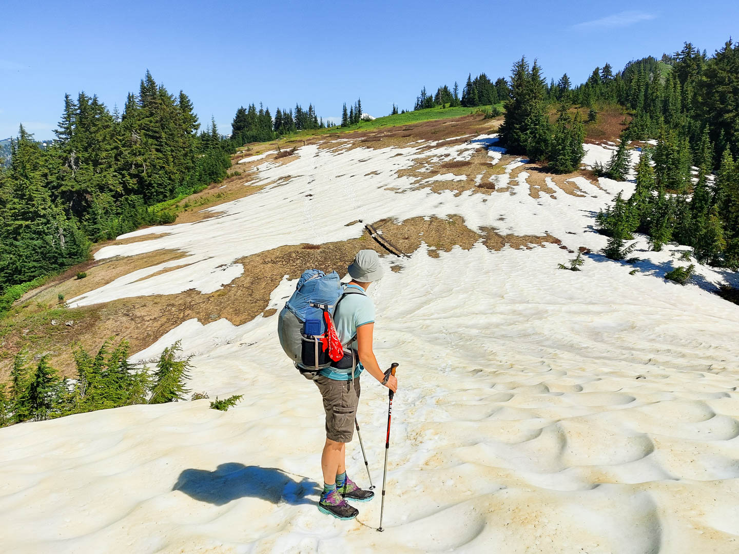 Pacific Crest Trail: 17. Von Stevens Pass nach Stevens Pass