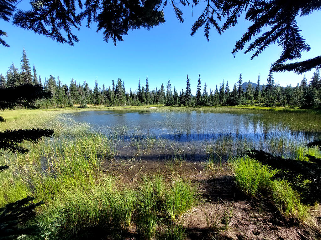 Pacific Crest Trail: 7. Von Trout Lake nach Cascade Locks