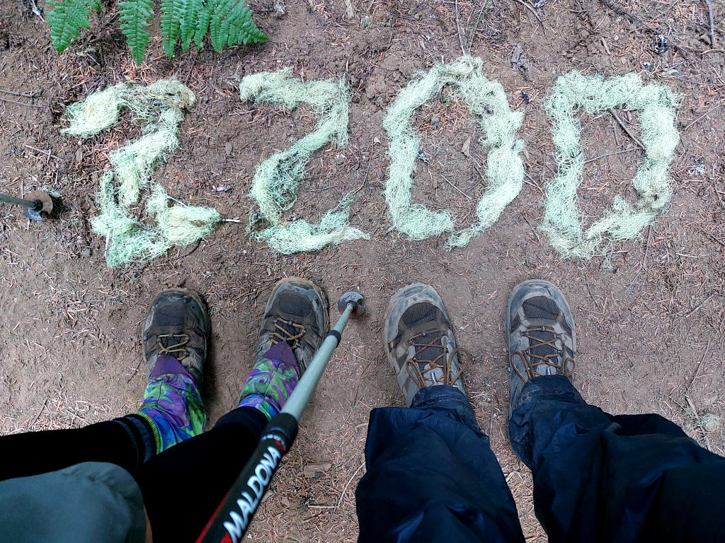 Pacific Crest Trail: 7. Von Trout Lake nach Cascade Locks