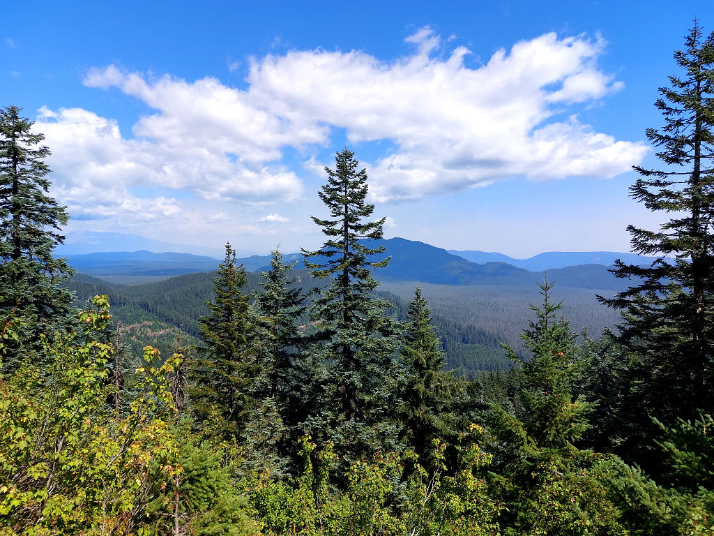 Pacific Crest Trail: 7. Von Trout Lake nach Cascade Locks