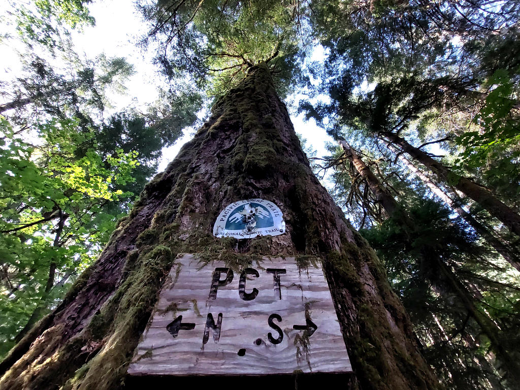 Pacific Crest Trail: 7. Von Trout Lake nach Cascade Locks