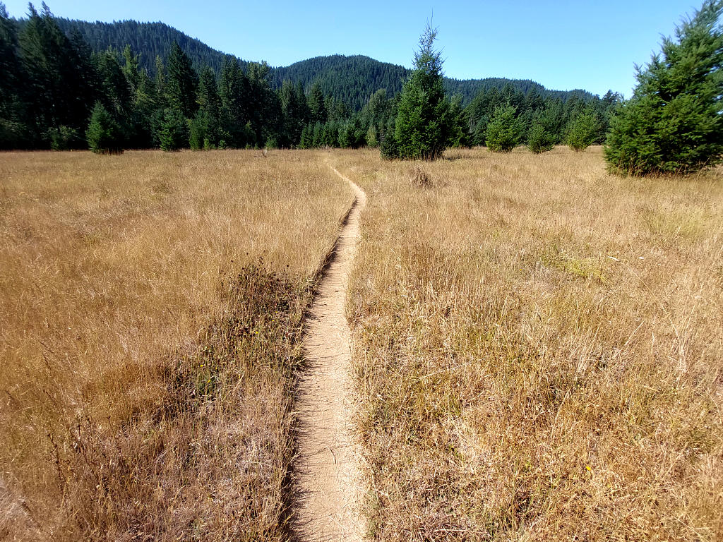 Pacific Crest Trail: 7. Von Trout Lake nach Cascade Locks