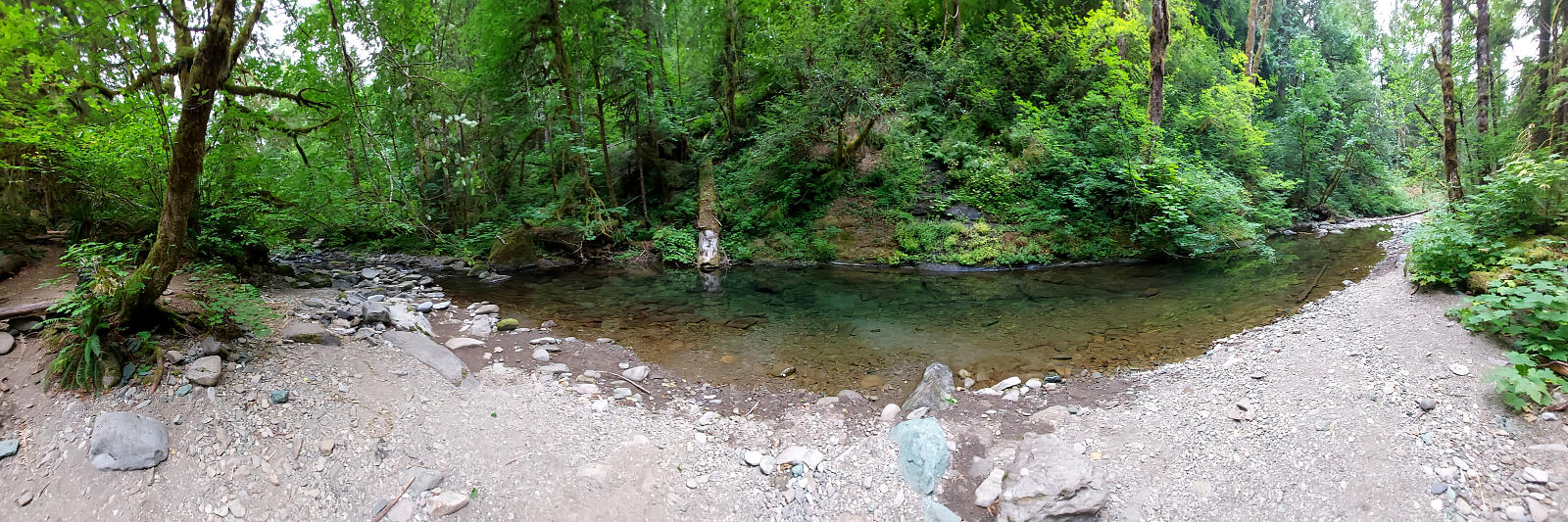 Pacific Crest Trail: 7. Von Trout Lake nach Cascade Locks