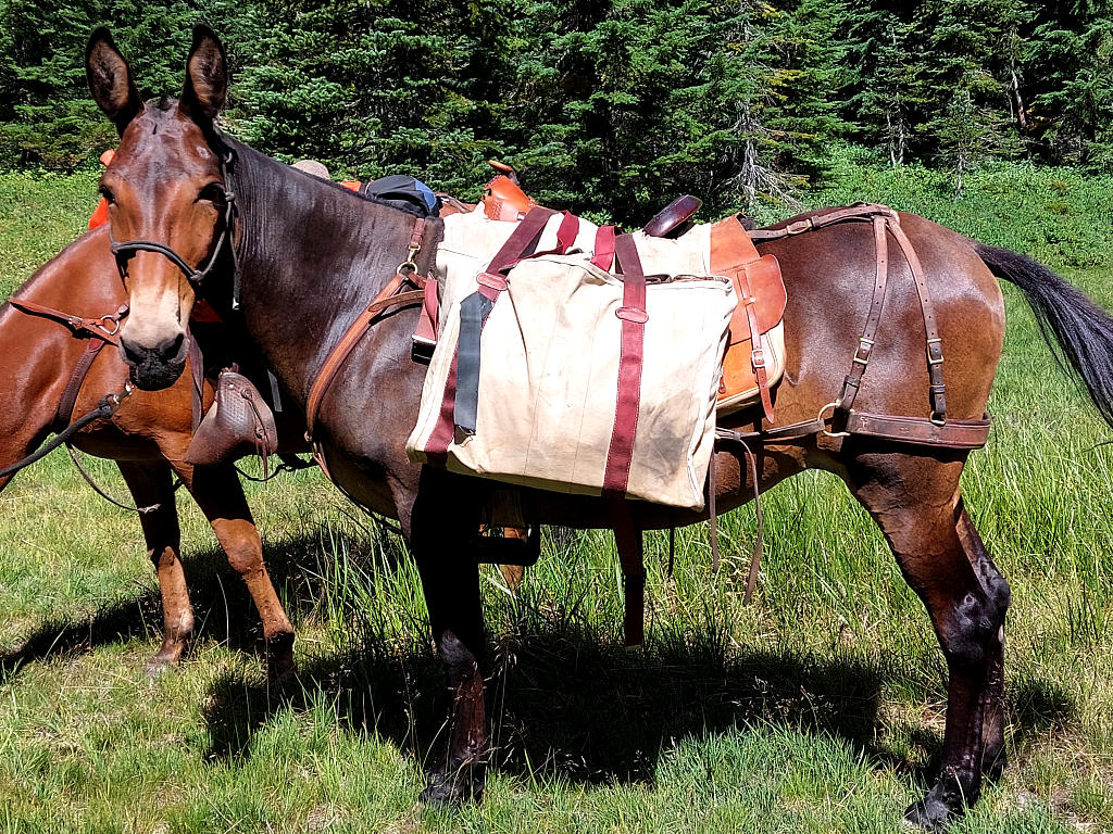 Pacific Crest Trail: 6. Von White Pass nach Trout Lake