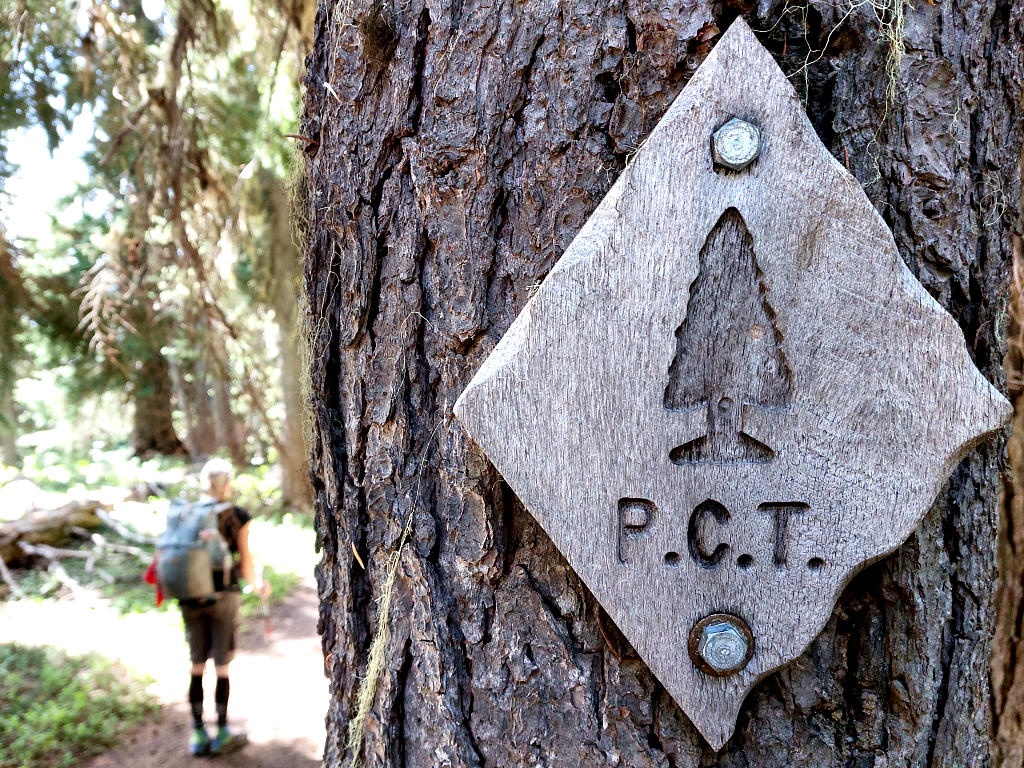 Pacific Crest Trail: 6. Von White Pass nach Trout Lake