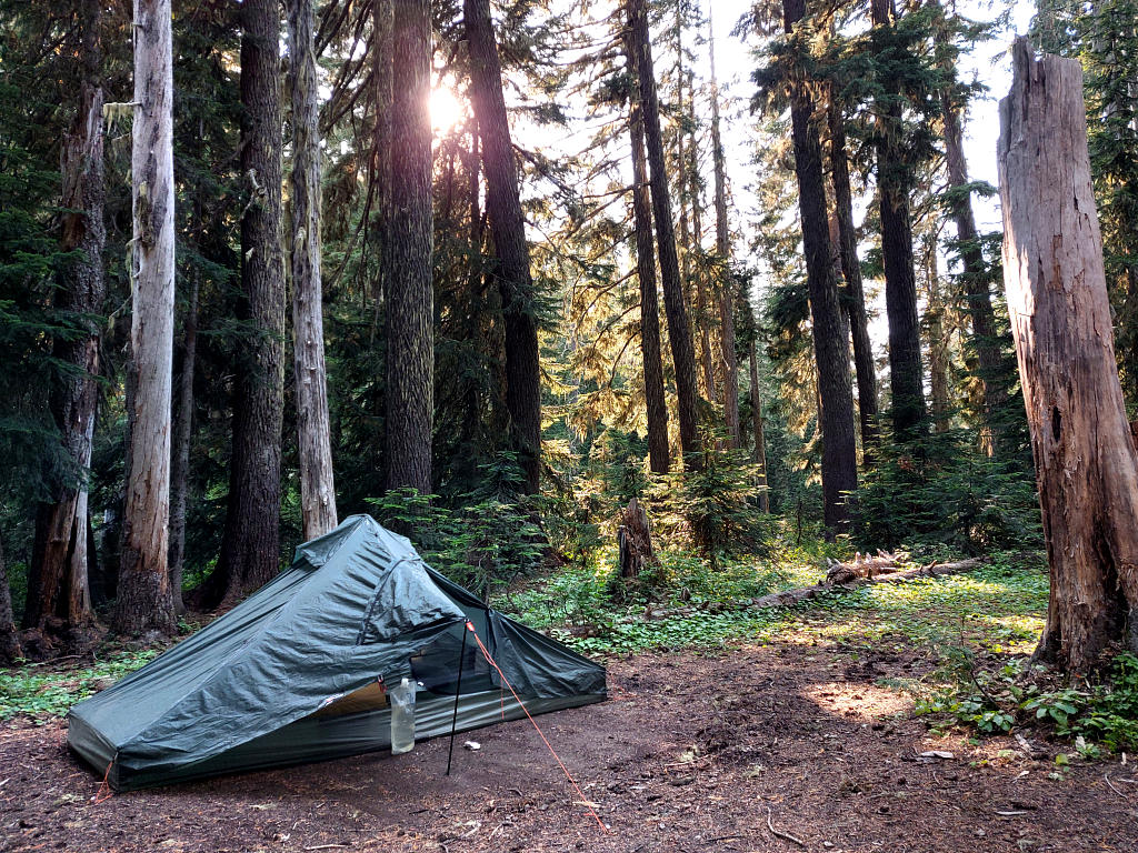 Pacific Crest Trail: 6. Von White Pass nach Trout Lake