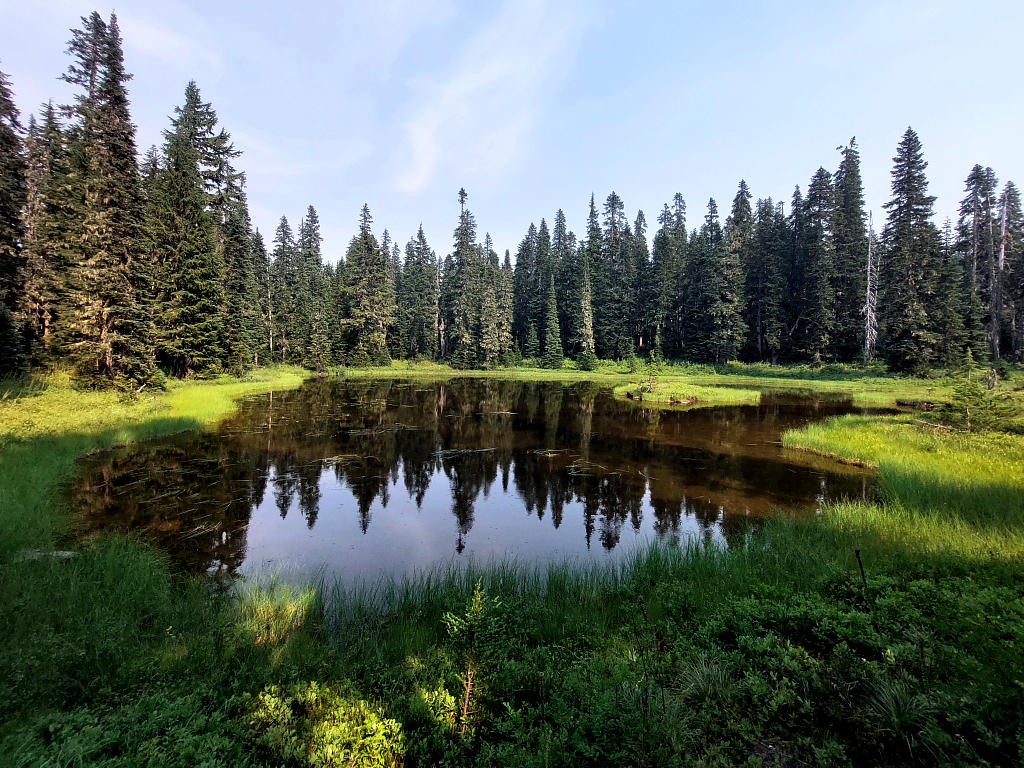 Pacific Crest Trail: 6. Von White Pass nach Trout Lake