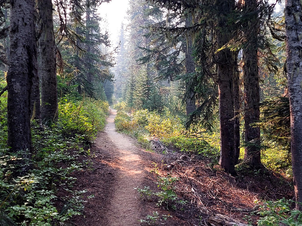 Pacific Crest Trail: 6. Von White Pass nach Trout Lake