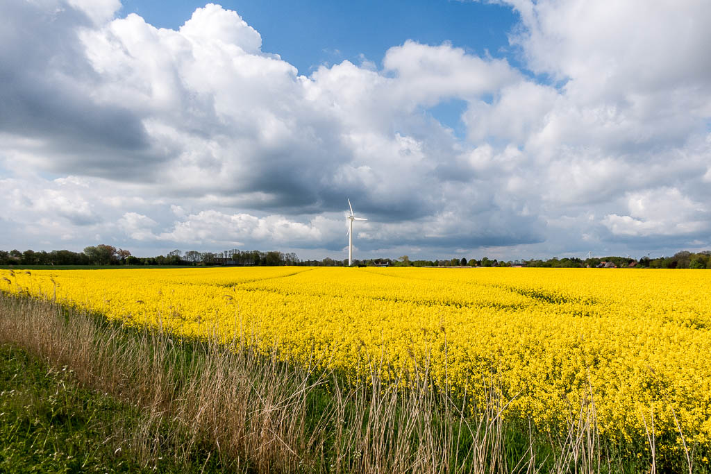 Radwanderung: 3. Von der Elbe durch Schleswig-Holstein nach Kiel