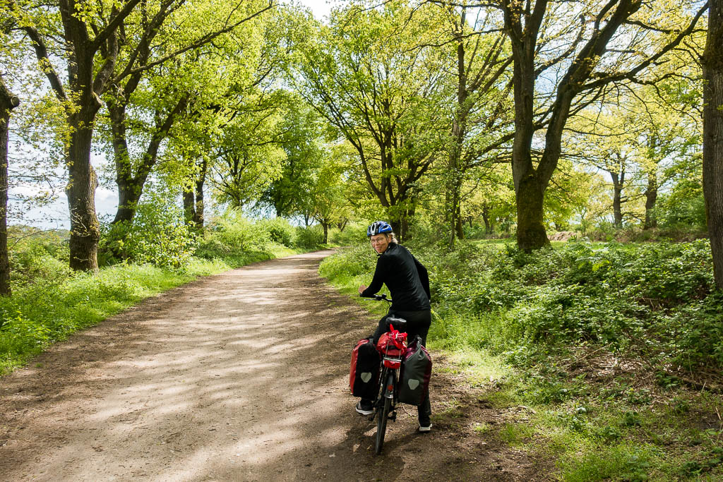 Radwanderung: 3. Von der Elbe durch Schleswig-Holstein nach Kiel