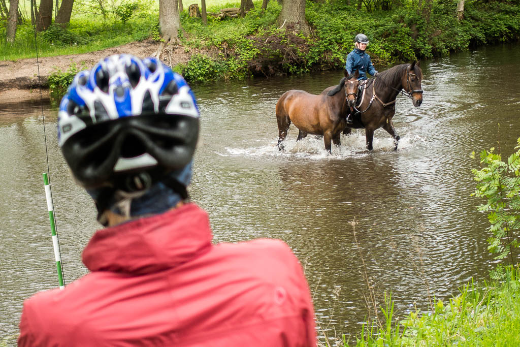 Radwanderung: 4. Von Kiel zurück an die Weser