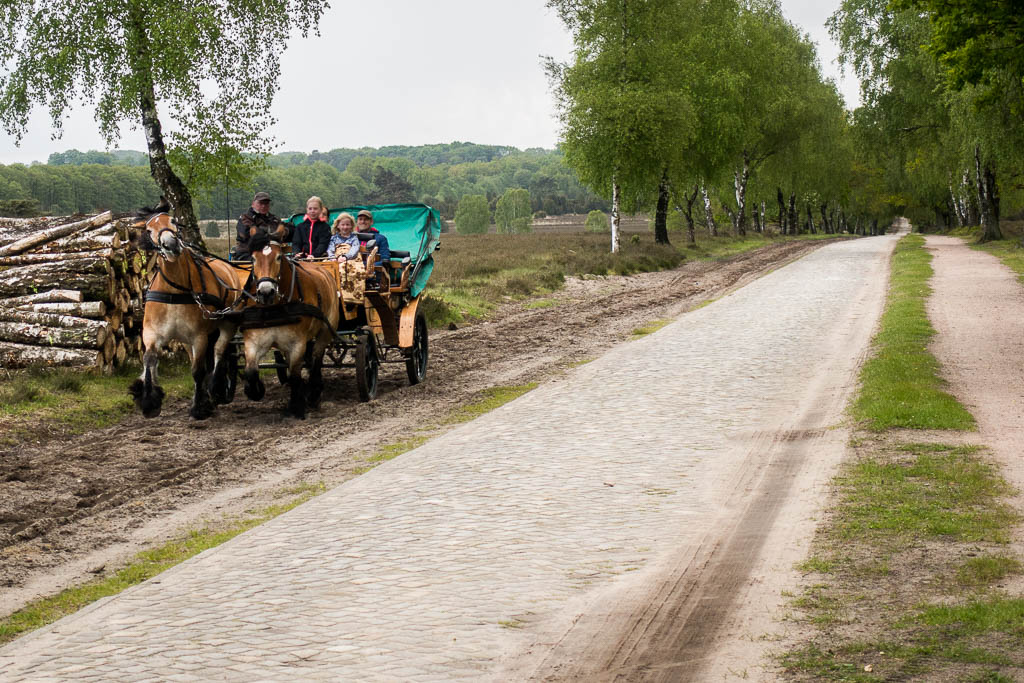 Radwanderung: 4. Von Kiel zurück an die Weser