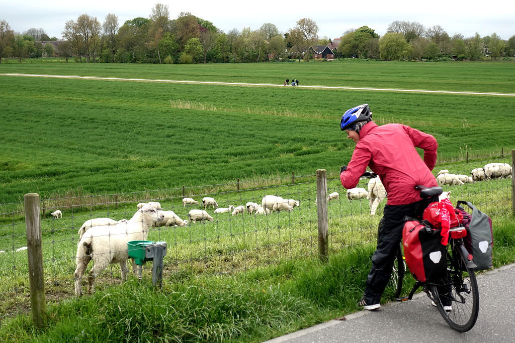 Radwanderung: 1. Weser-Ems-Ostfriesland