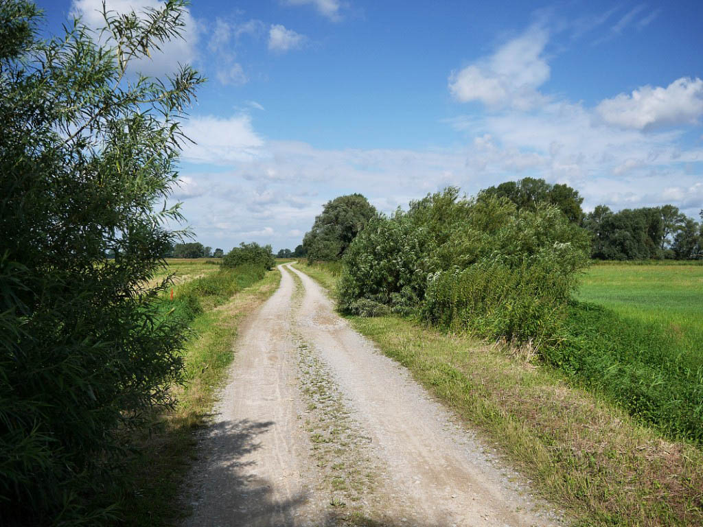 Radwanderung: 2. Bremen-Schnackenburg