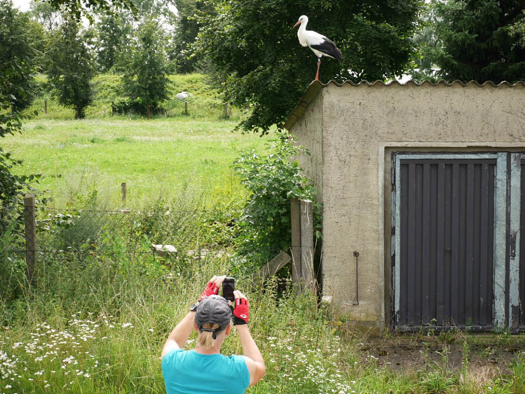 Radwanderung: 3. Elbe, Müritz und zurück