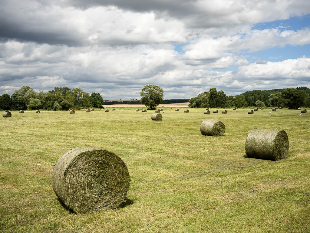 Radwanderung: Rhein-Schwarzwald-Donau-Bayern