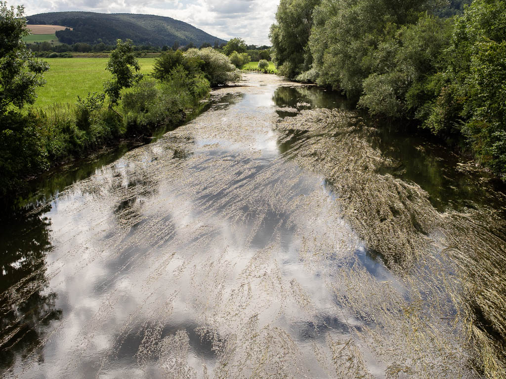 Radwanderung: Rhein-Schwarzwald-Donau-Bayern