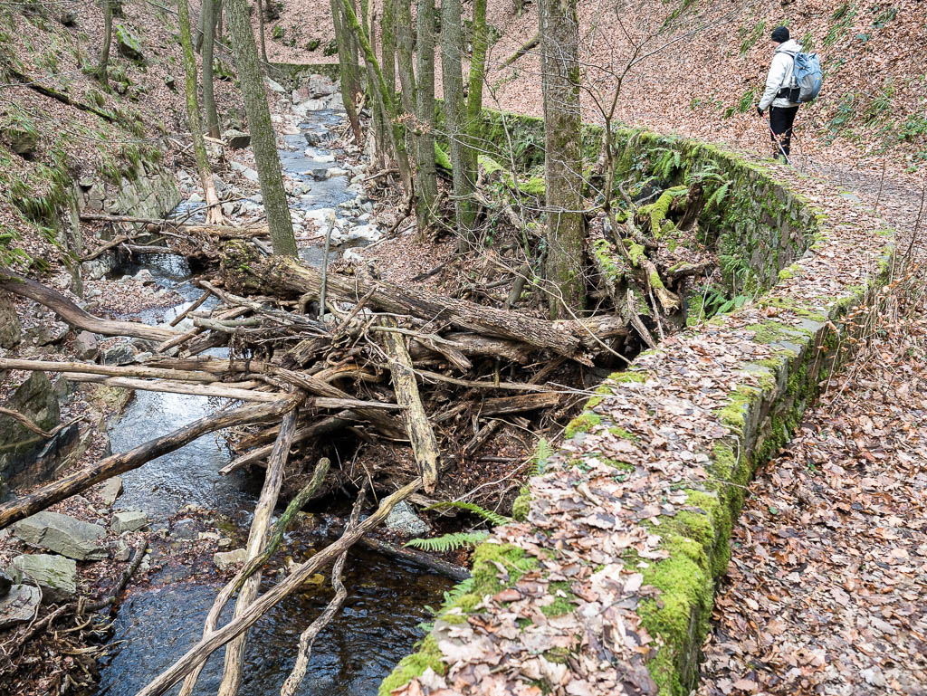 Karneval im Wald: Der Soonwaldsteig