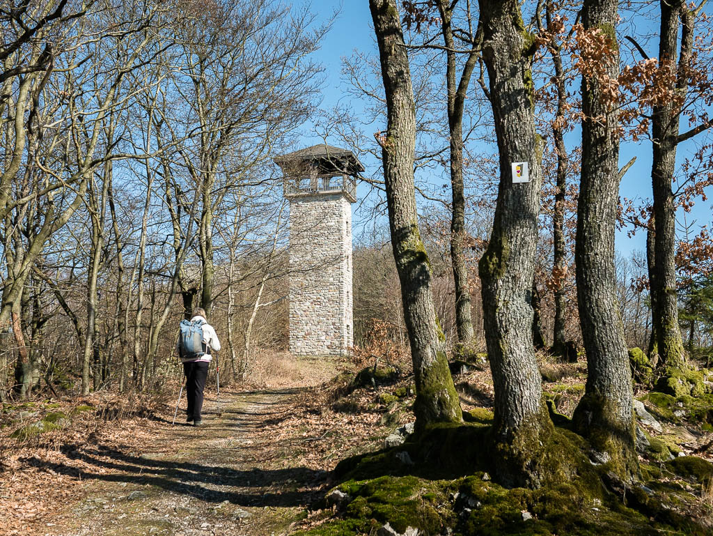 Karneval im Wald: Der Soonwaldsteig