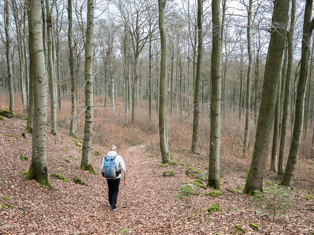 Karneval im Wald: Der Soonwaldsteig