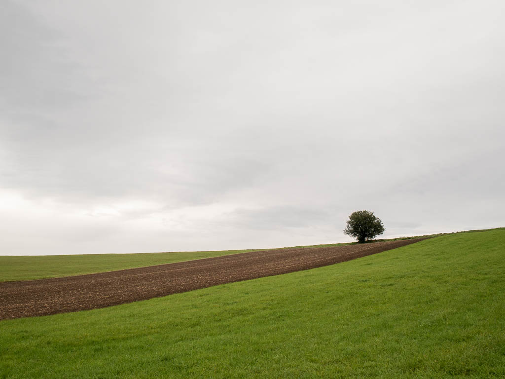 Steigerwald Panoramaweg