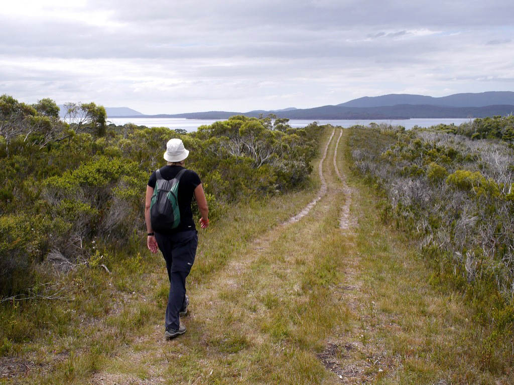 Tasmanien: 5. Letzte Fotos aus Tasmanien