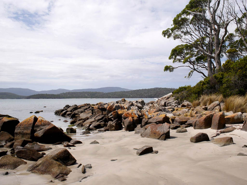 Tasmanien: 5. Letzte Fotos aus Tasmanien