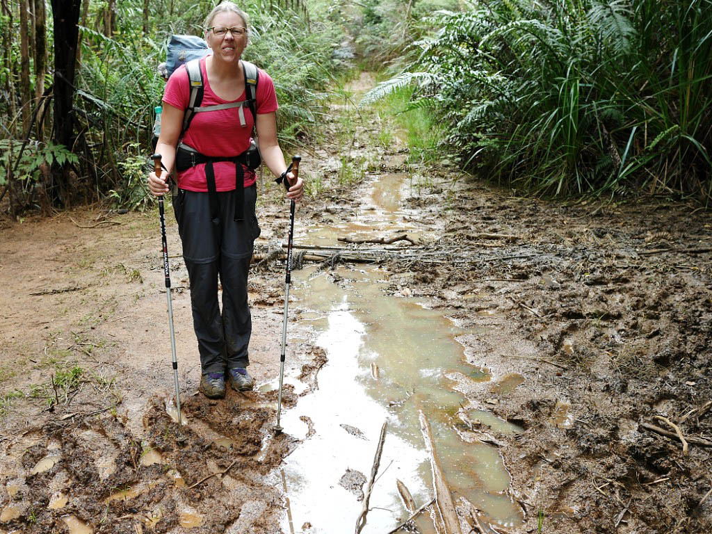 Te Araroa: 3. Von Ahipara nach Kerikeri