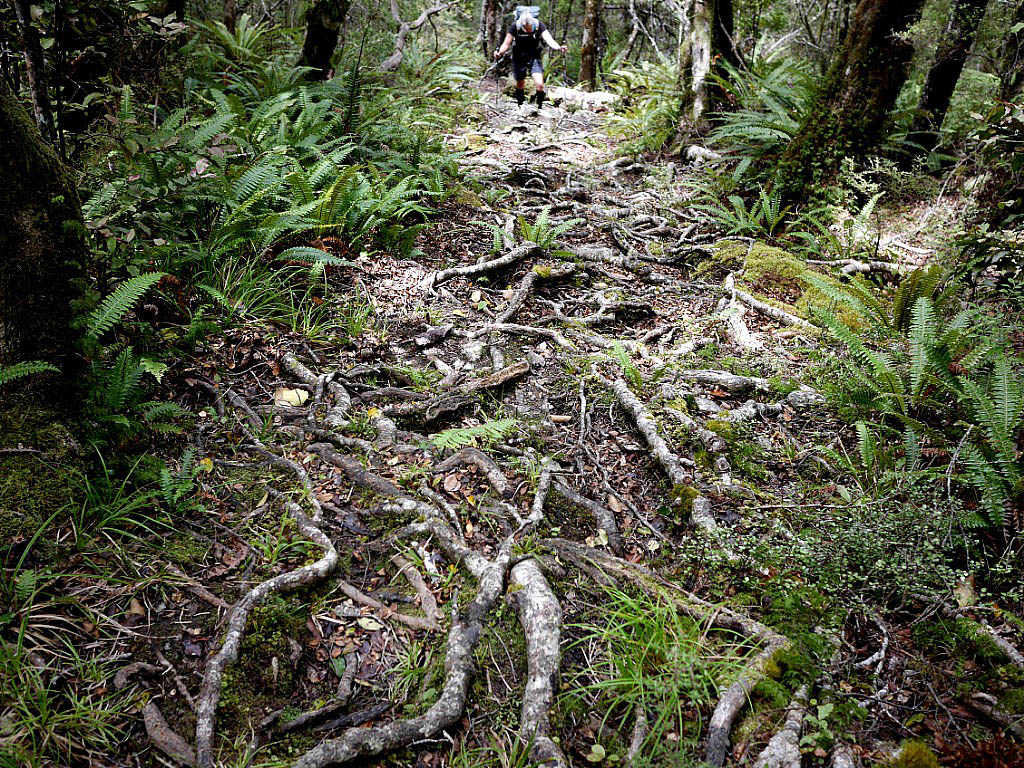 Te Araroa: 13. Von Havelock nach Nelson