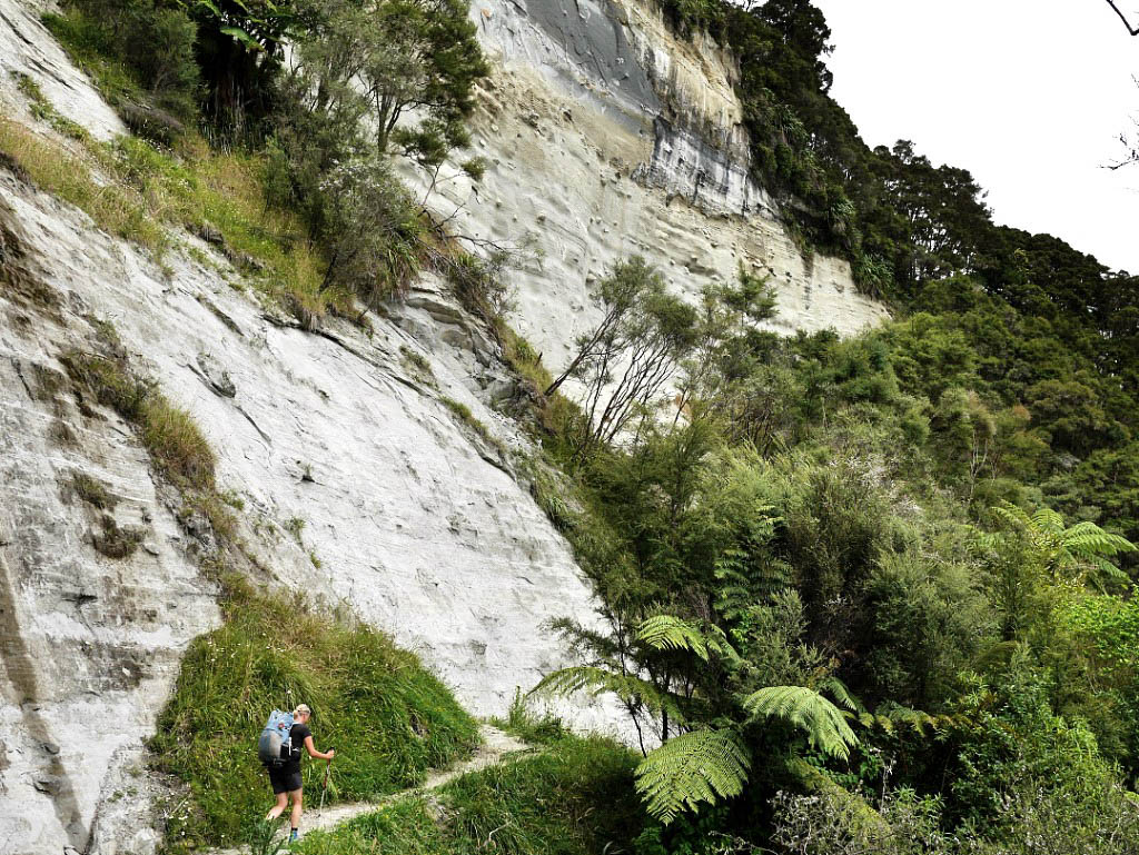 Te Araroa: 10. Von Taumarunui nach Whanganui