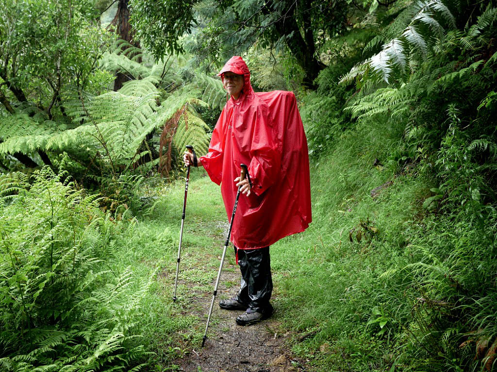 Te Araroa: 10. Von Taumarunui nach Whanganui