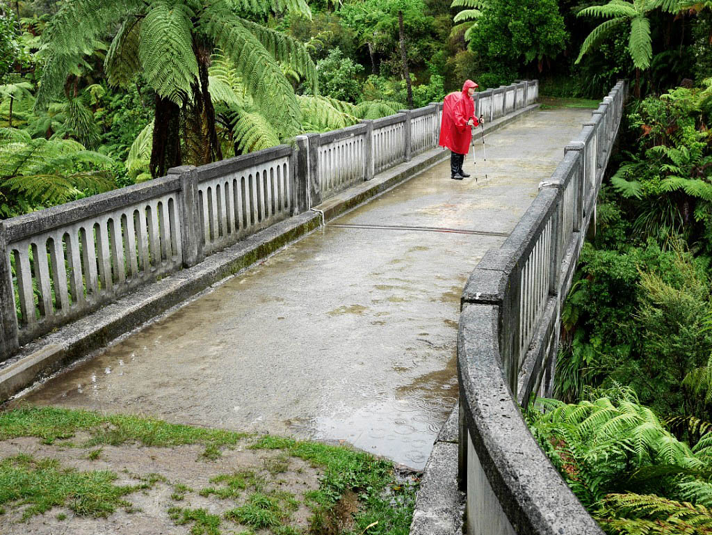 Te Araroa: 10. Von Taumarunui nach Whanganui