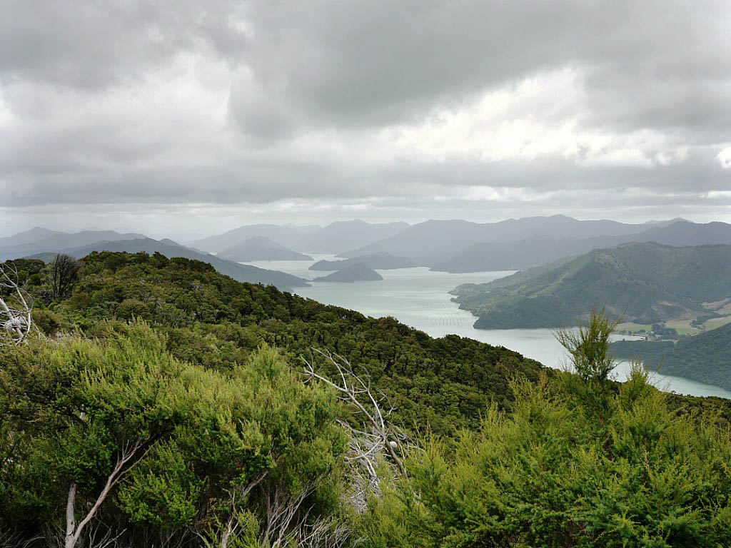 Te Araroa: 12. Von Wellington über Picton nach Havelock