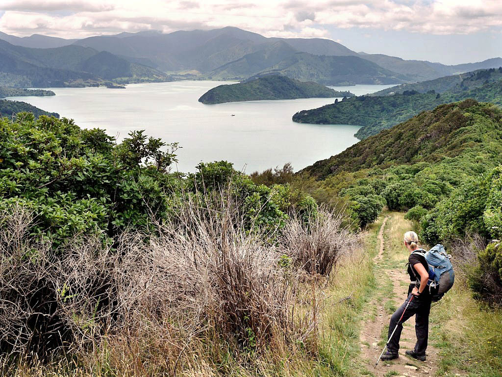 Te Araroa: 12. Von Wellington über Picton nach Havelock